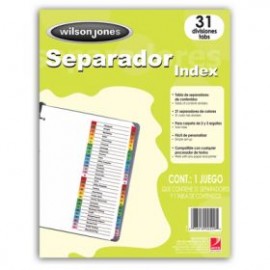 SEPARADOR ACCO WILSON JONES  1-31 P1366 *